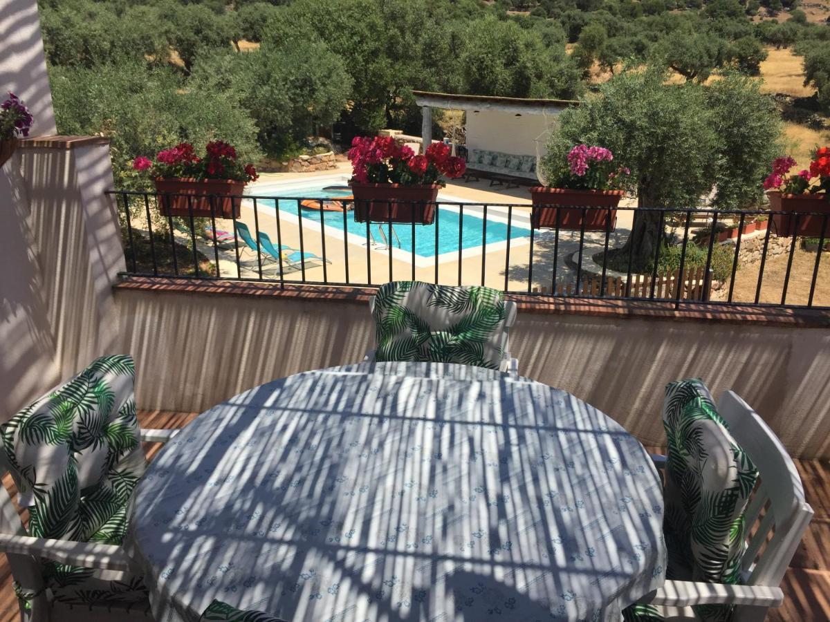 Almoharin Casa Rural Flores Amarillas المظهر الخارجي الصورة