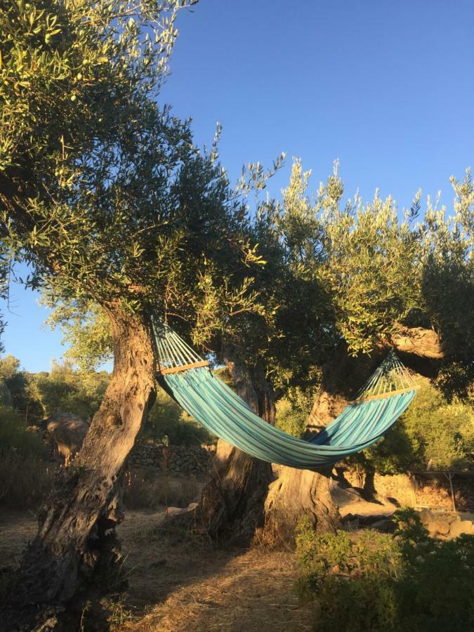 Almoharin Casa Rural Flores Amarillas المظهر الخارجي الصورة