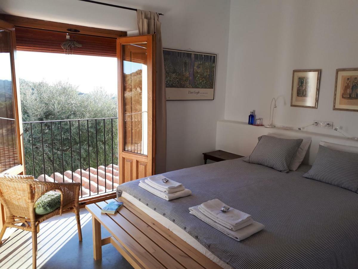 Almoharin Casa Rural Flores Amarillas المظهر الخارجي الصورة